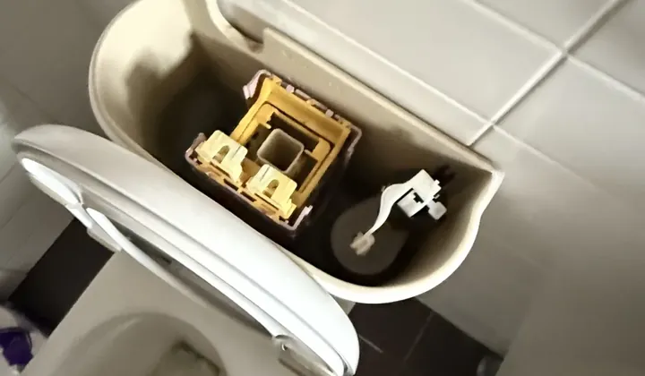 Toilet cistern with its lid off, showing the flush valve and inlet valve, in Homebush