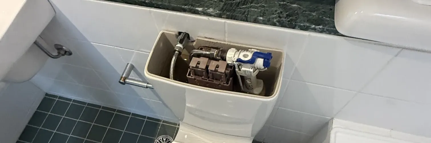 Toilet cistern with its lid off, showing the inlet valve and flush valve, in a Glebe bathroom