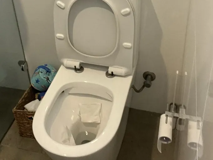 Toilet with the seat up and toilet paper in the bowl in Collaroy Plateau