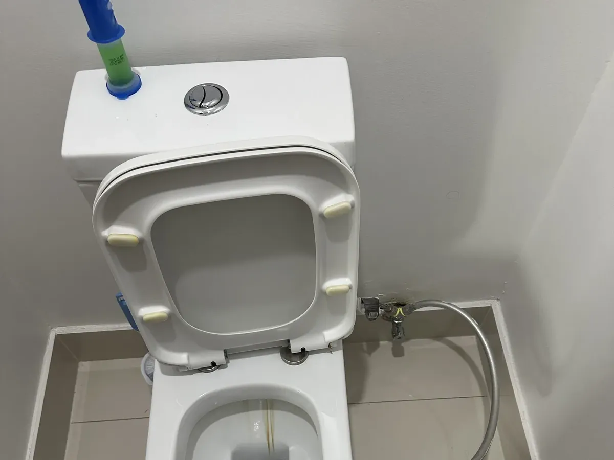 Close-coupled toilet with its dual flush button and seat up, and a braided hose hooked into the bowl, in The Ponds
