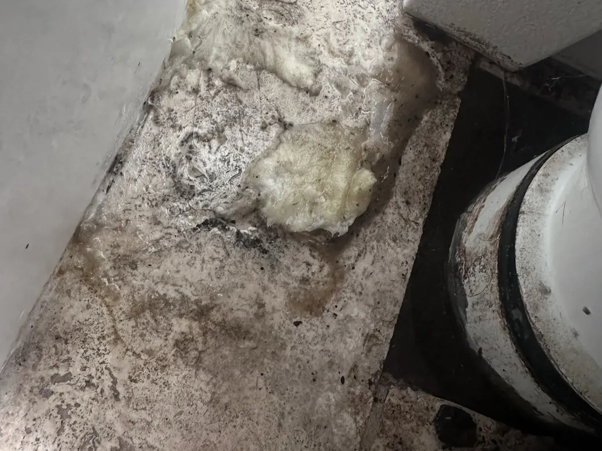 Water-stained, mouldy floor behind a toilet pan where it joins the drain in Bondi Beach