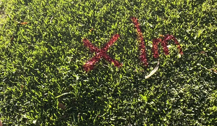 Pink locator mark sprayed on the lawn above the sewer line in Bradbury