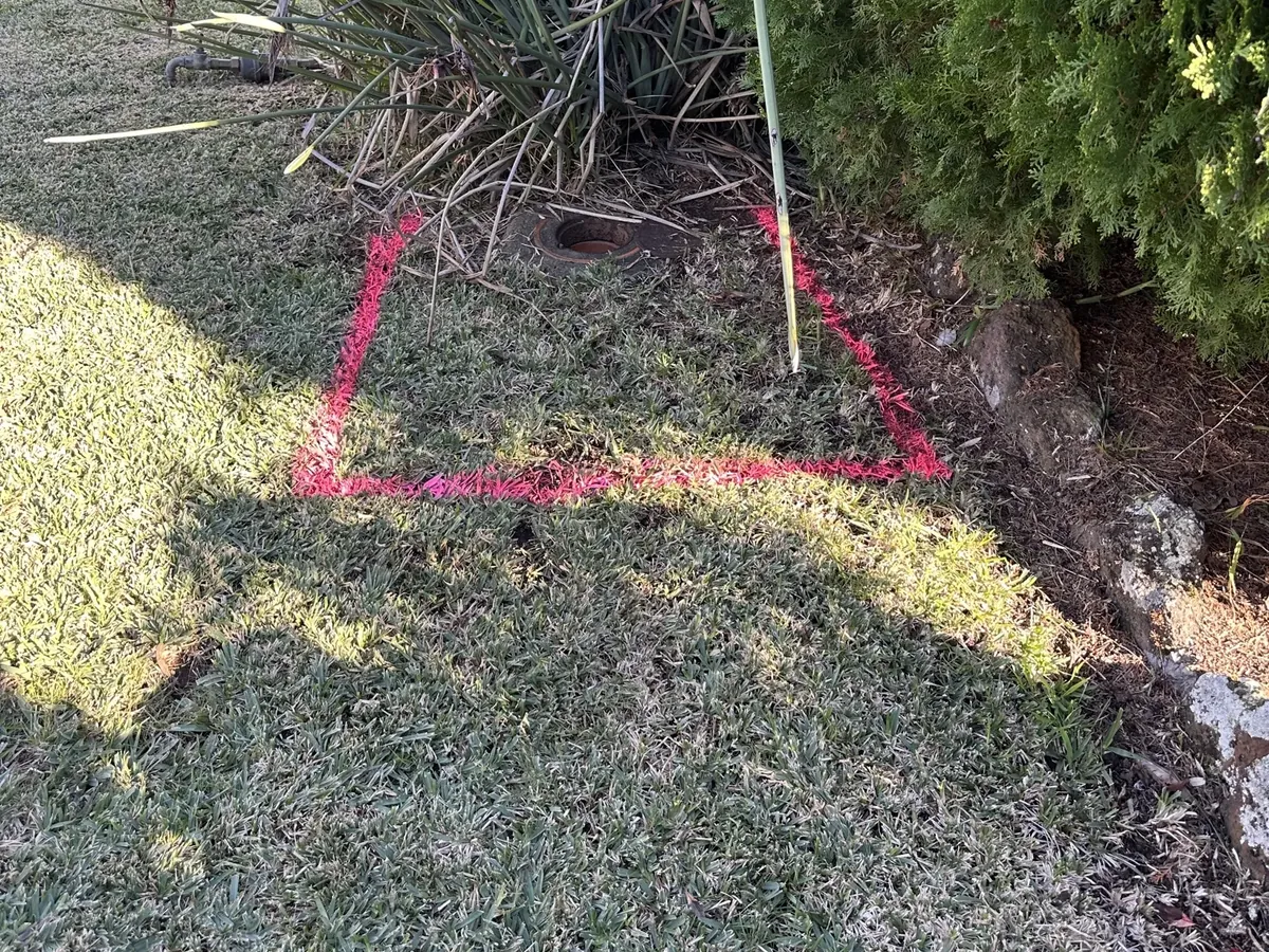 Pink square sprayed on the lawn beside a garden bed to mark the sewer repair spot in Panania