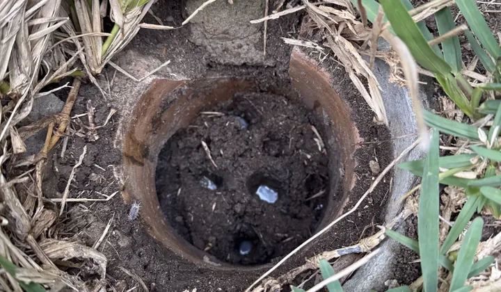 Clay drain riser packed with soil in a patch of lawn in Bexley