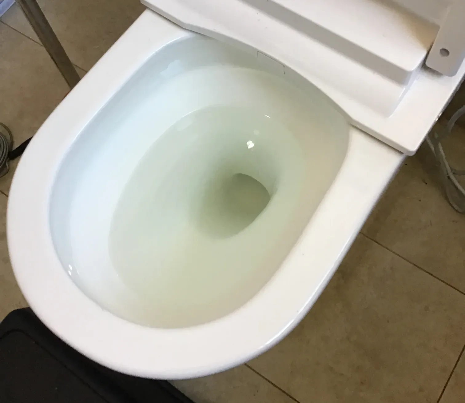 Cloudy water sitting high in a blocked toilet bowl in Mascot