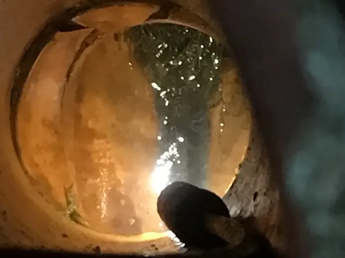 Jet blaster hose end inside a clay drain pipe in Casula