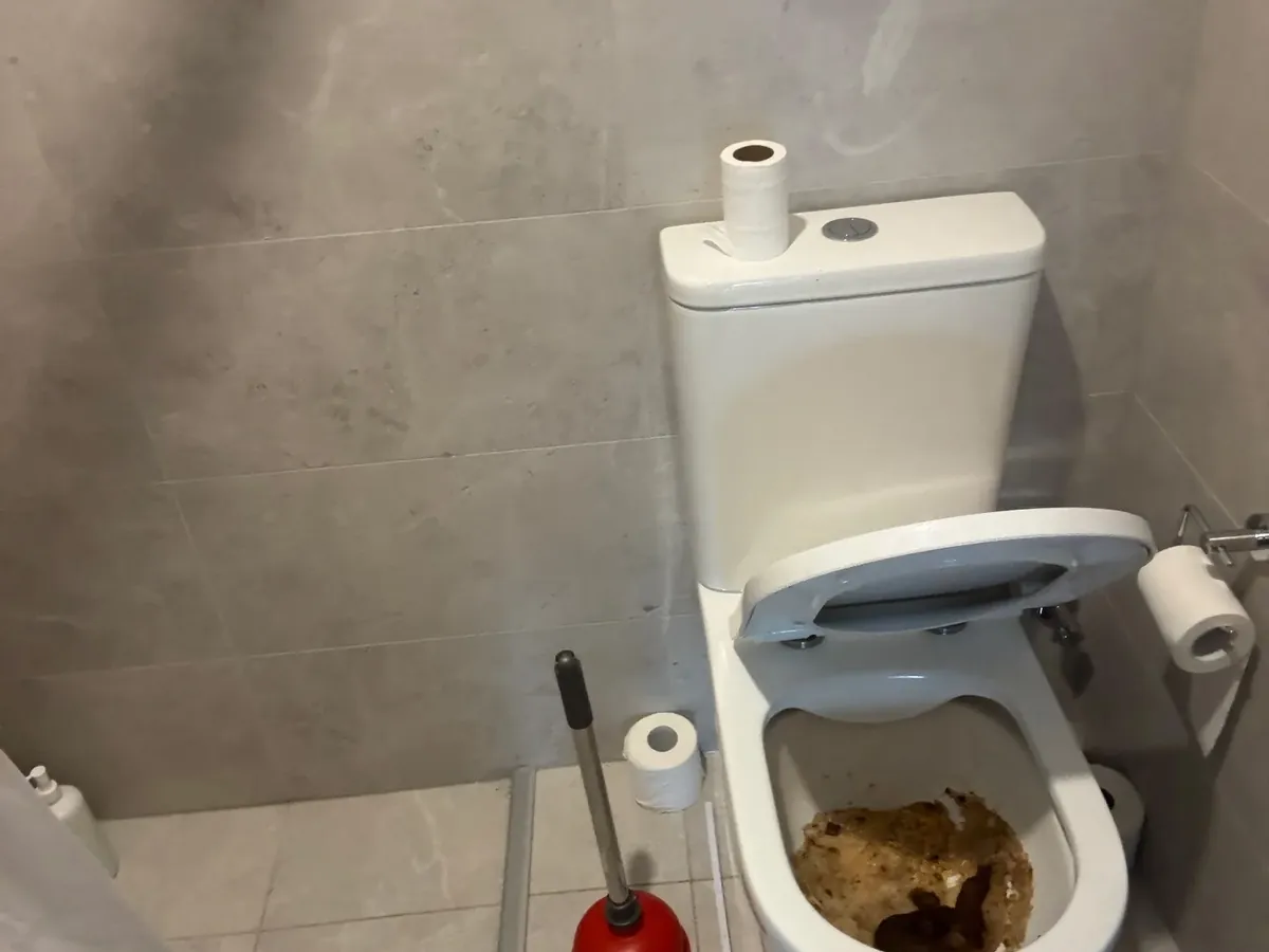 Blocked toilet bowl full of sewage with a plunger standing beside it in Westmead