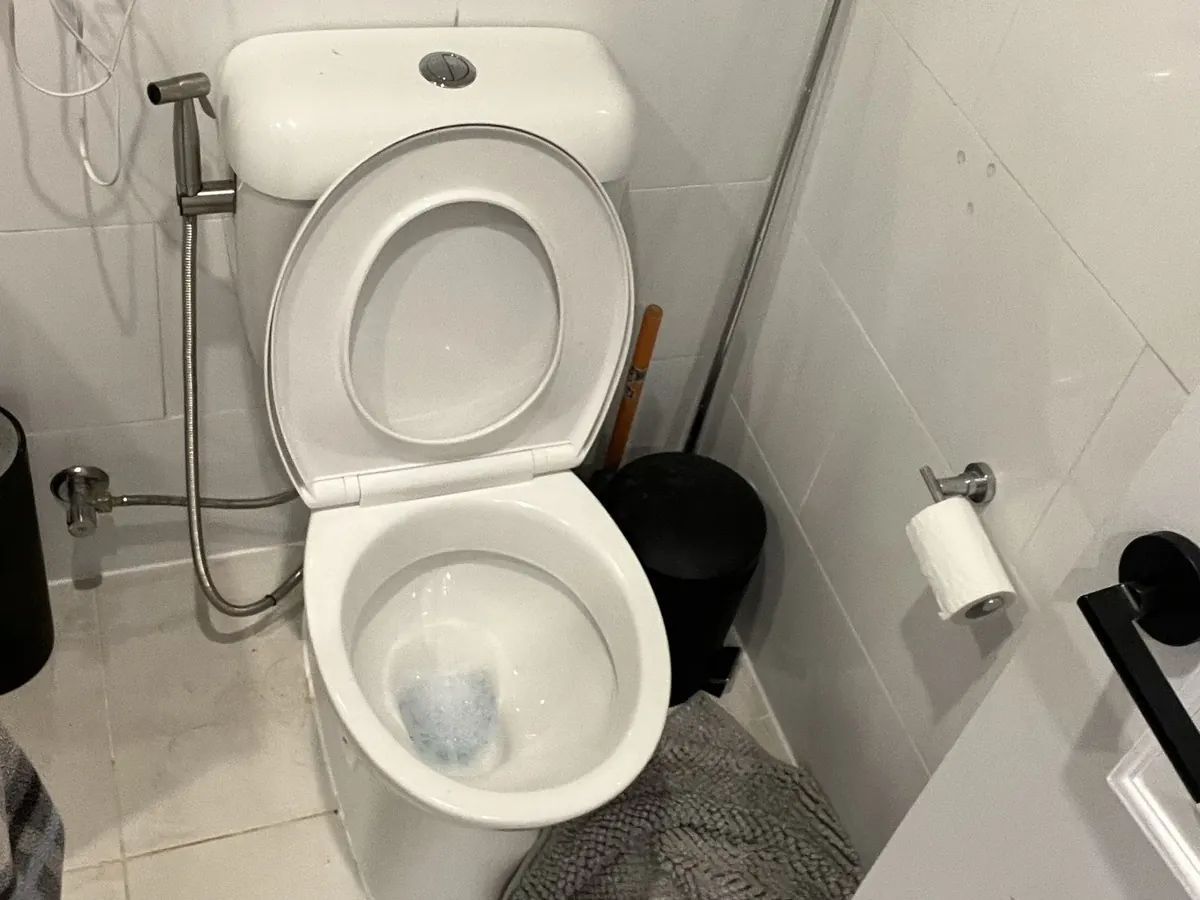 Toilet with the lid up and a plunger standing beside it in a Dharruk bathroom