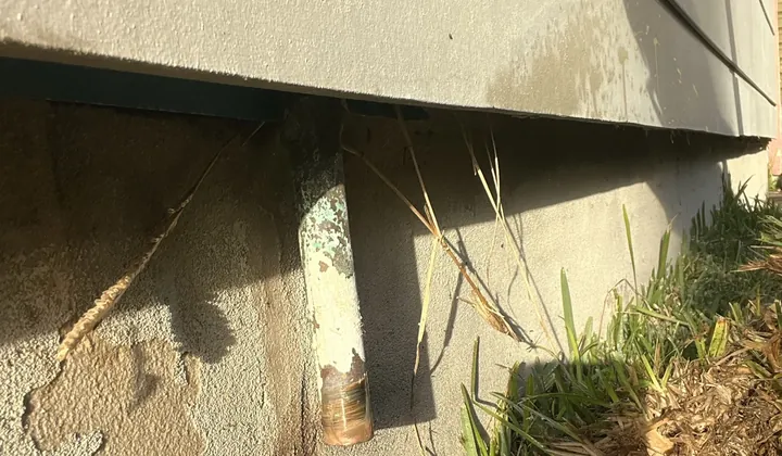 Corroded copper water pipe cut back where it enters the house under the cladding in Roselands