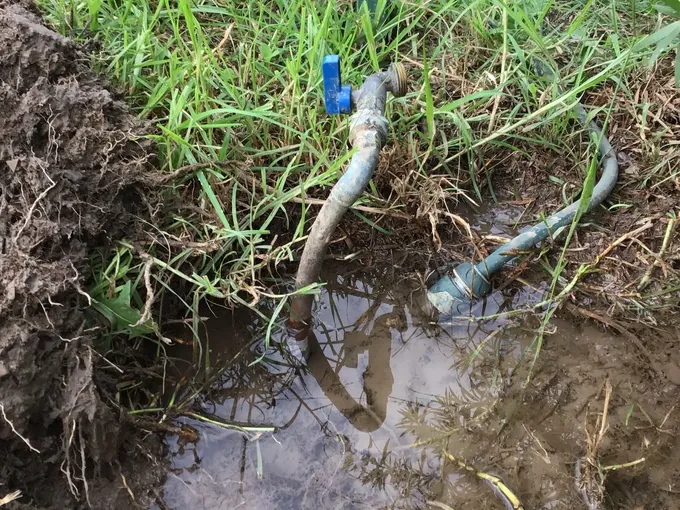 Pipes and a blue-handled valve exposed in a flooded hole in the front lawn in Ambarvale