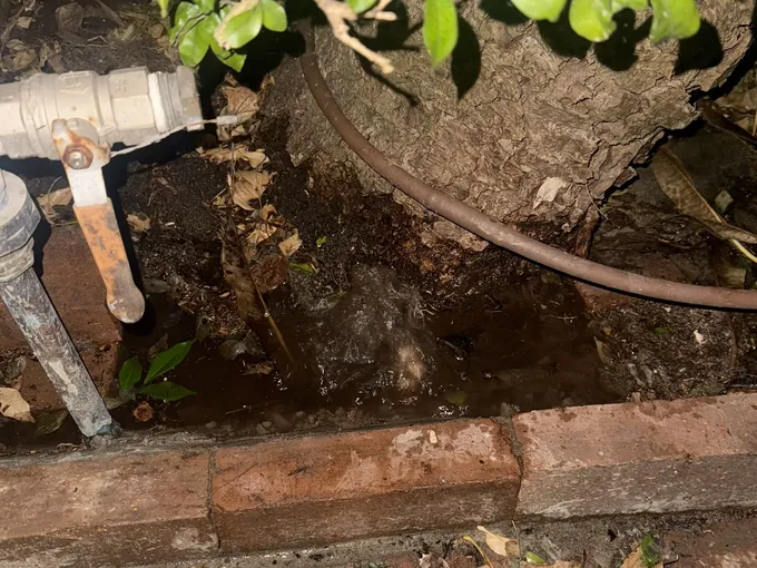 Water bubbling up in a garden bed beside the lever tap on an old water pipe in Haberfield