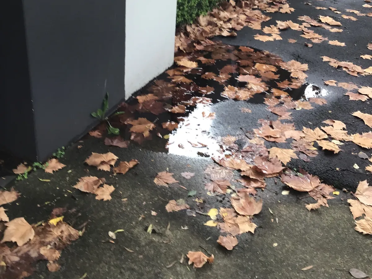 Water spreading across the footpath below a front fence from a leak in the garden bed in Double Bay