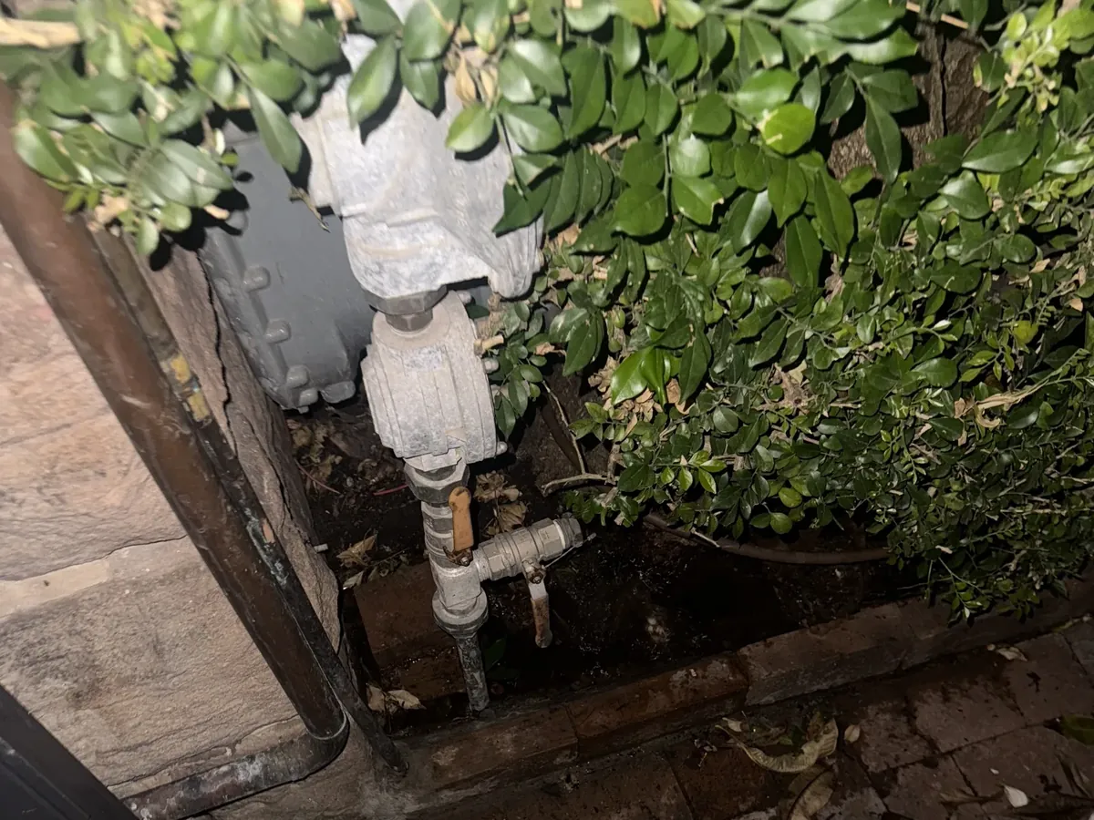 Water service pipe, valves and fittings in a front garden bed in Haberfield