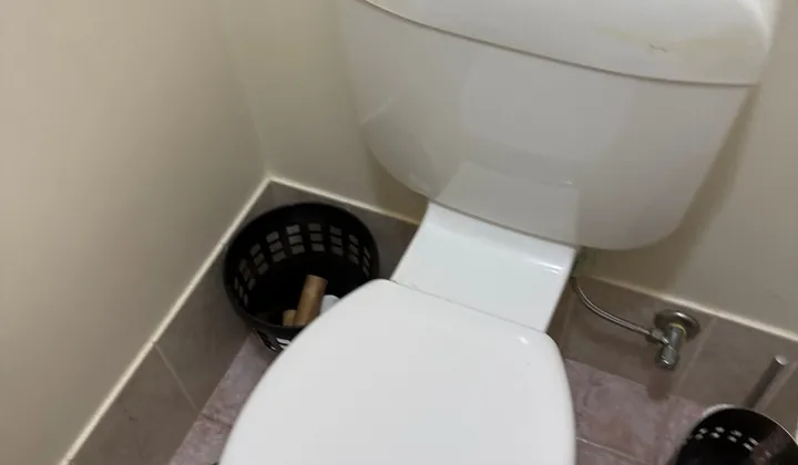 Toilet after a blocked toilet drain was cleared in West Hoxton