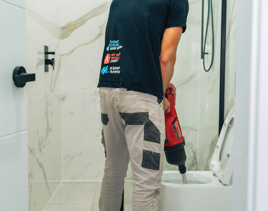 unblock toilet repair